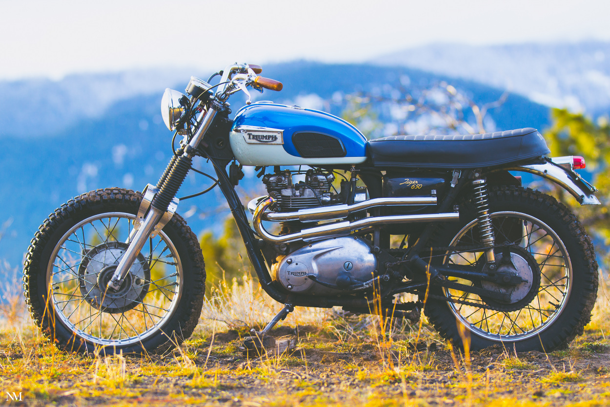 Triumph TR6 Desert Sled