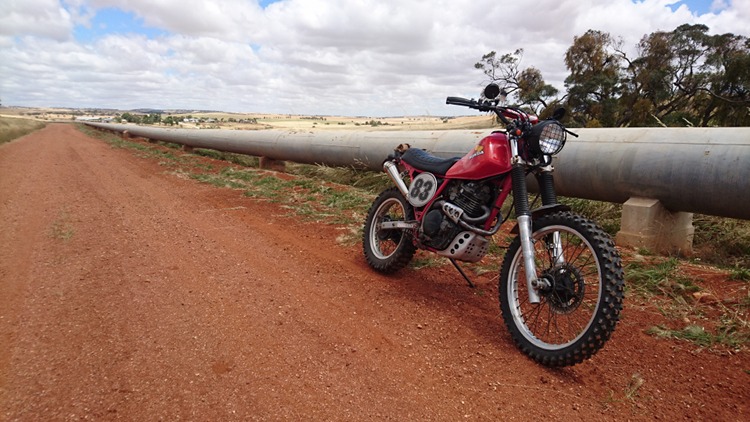 Honda-XL600-Scrambler-14
