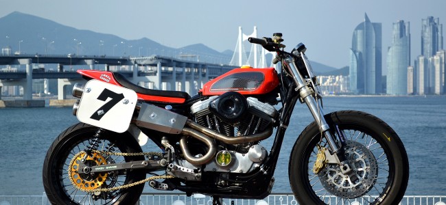 Sportster 883 Street Tracker
