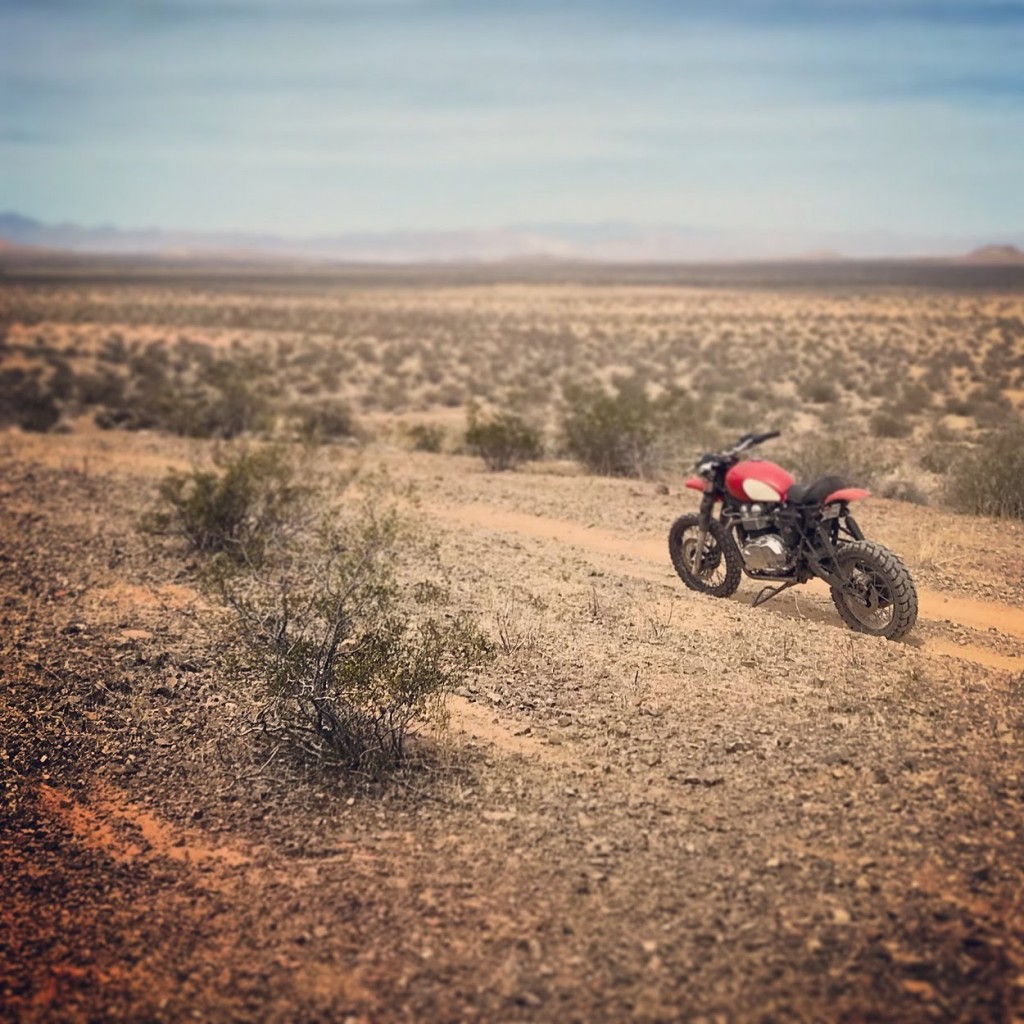 Triumph T100 Scrambler Street Sled