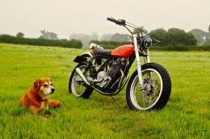 Honda NX-TT 650 Street Tracker