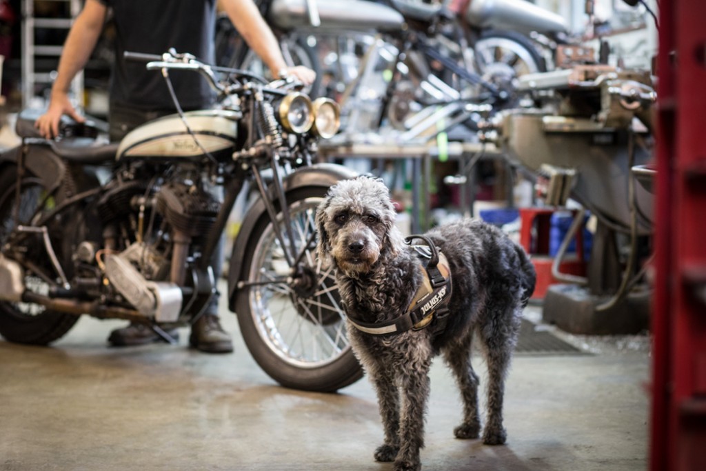Norton V-Twin Special