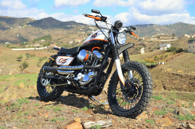 Harley Sportster Scrambler