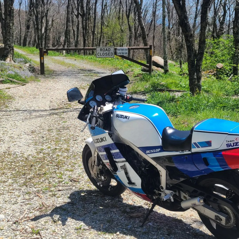 Ripsnorting Restomod: Suzuki RG500 Gamma – BikeBound