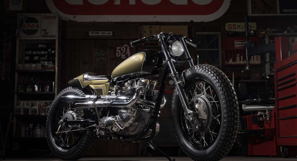 Triumph TR6 Bobber