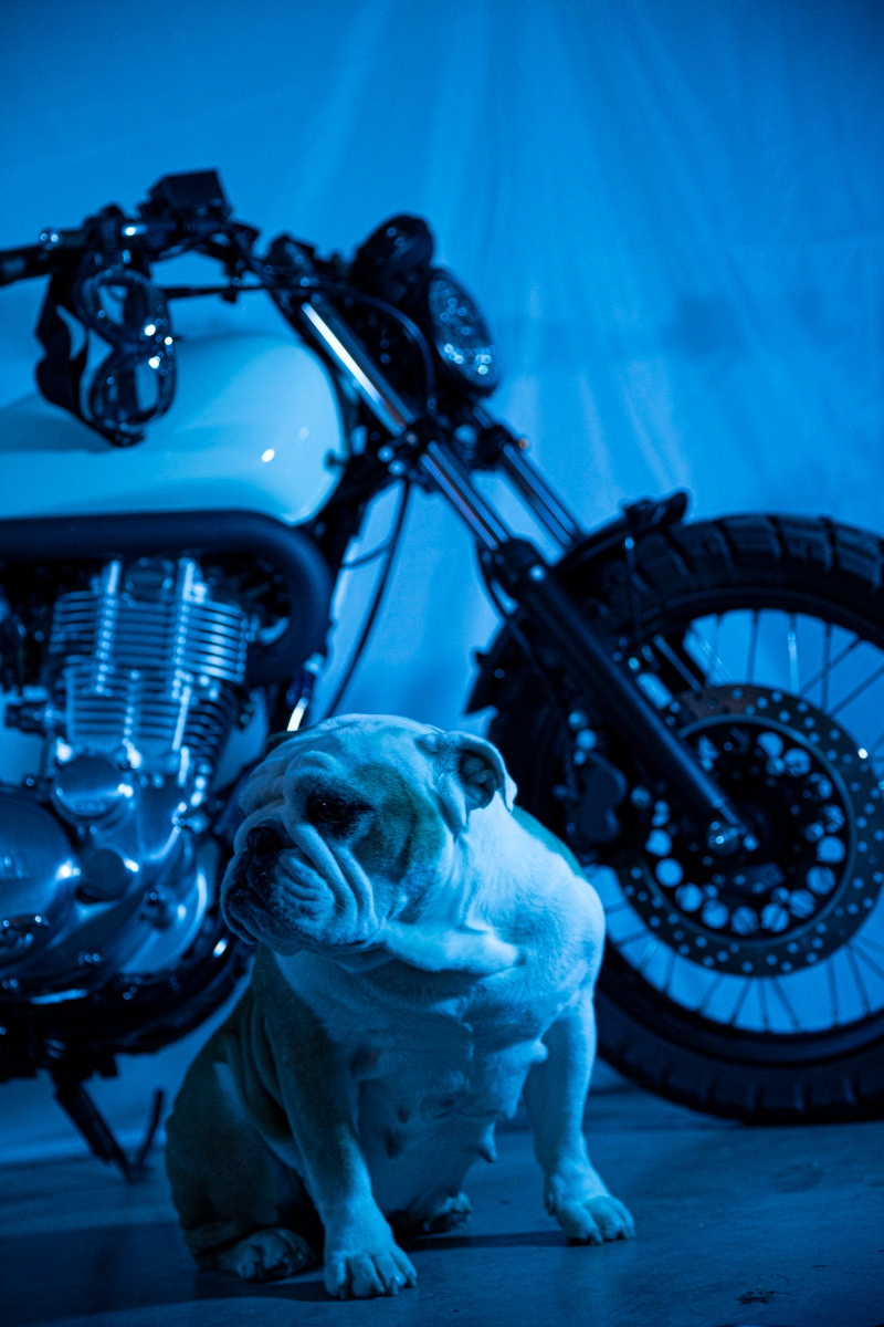 Yamaha SR400 Scrambler