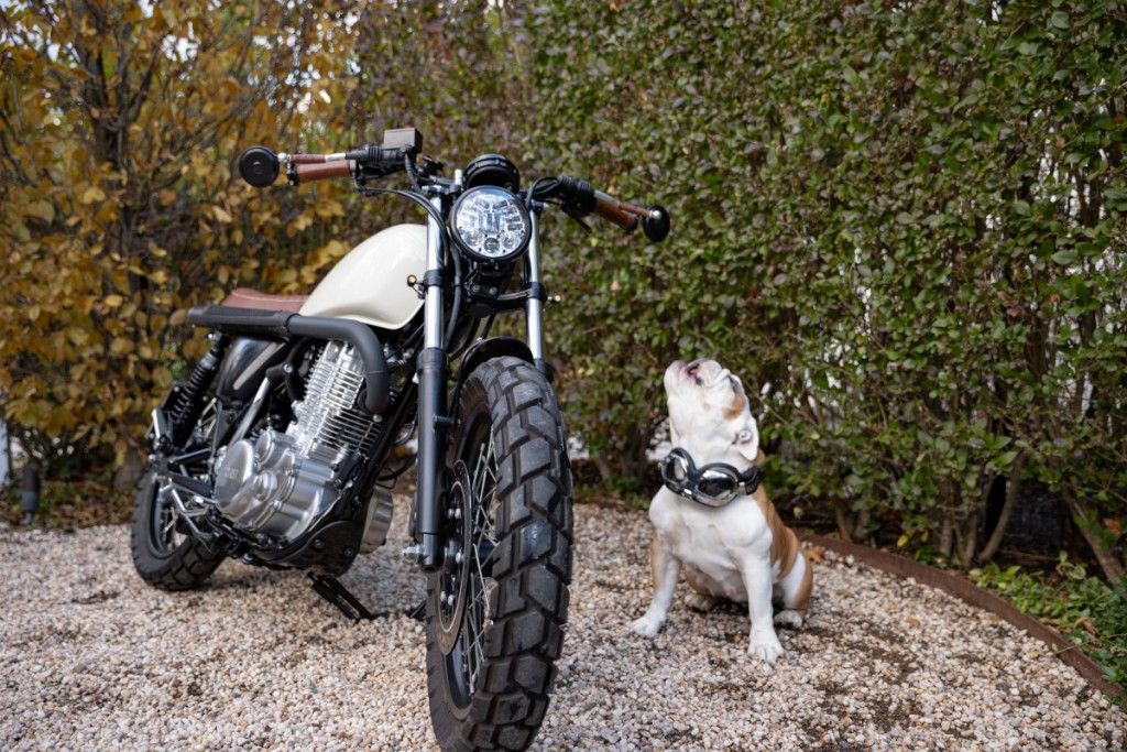 Yamaha SR400 Scrambler