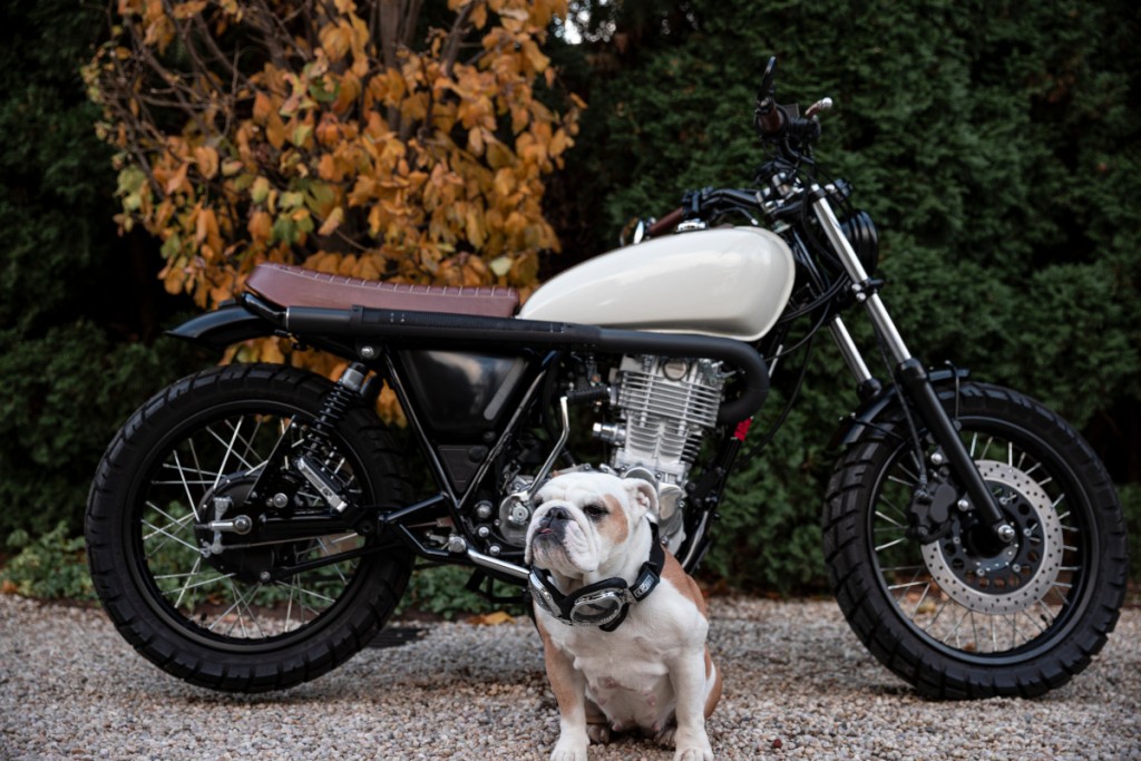 Yamaha SR400 Scrambler