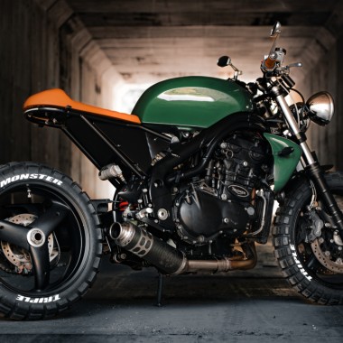 Speed Triple Custom