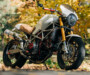 Stronza Bella: Ducati Monster S4