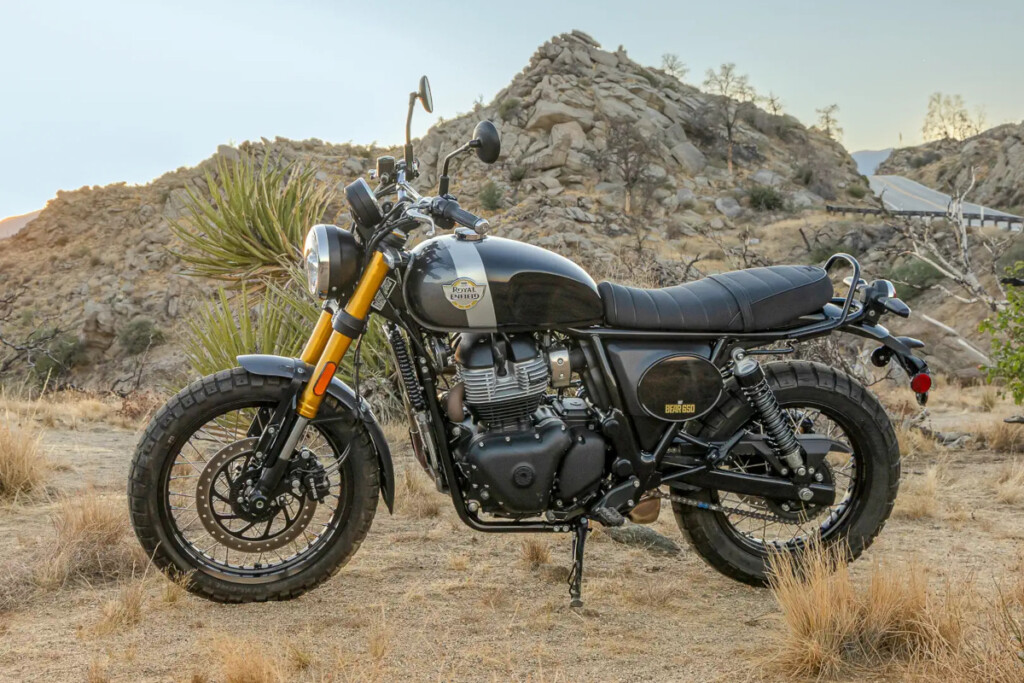 Bear 650