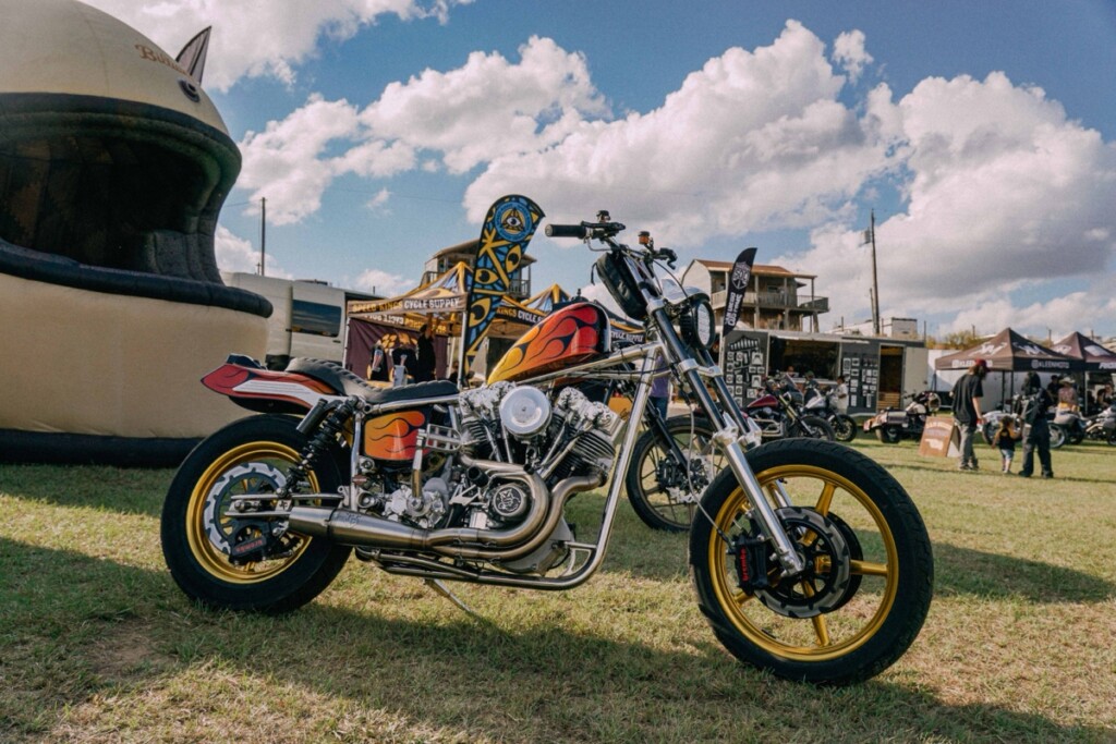 Born Free Texas 2025