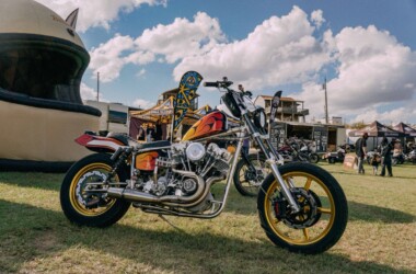 Born Free Texas 2025