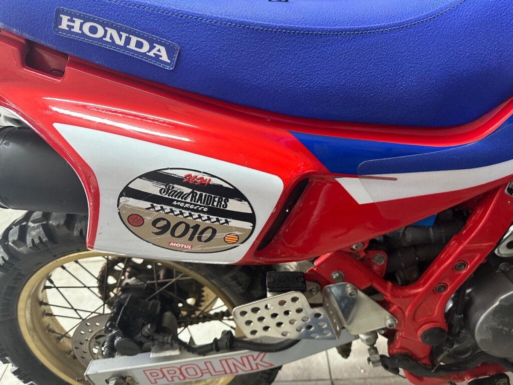 Honda NX650 Dominator Rally Bikes