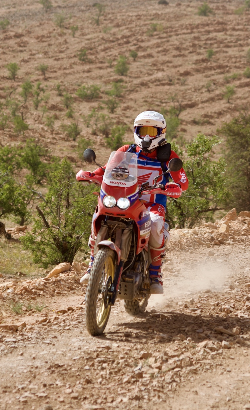 Honda NX650 Dominator Rally Bikes