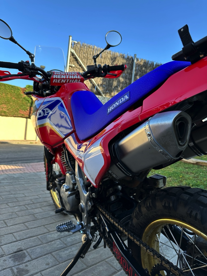 Honda NX650 Dominator Rally Bikes