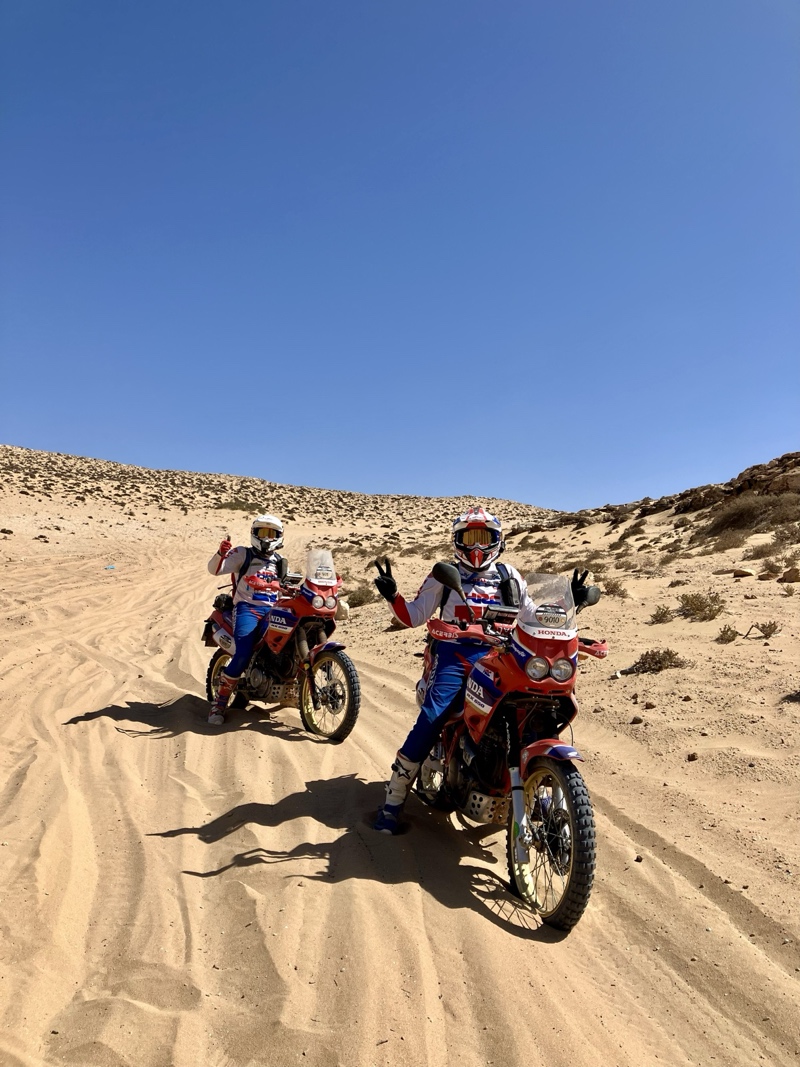 Honda NX650 Dominator Rally Bikes