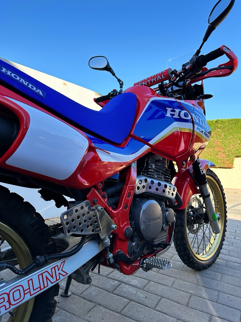 Honda NX650 Dominator Rally Bikes