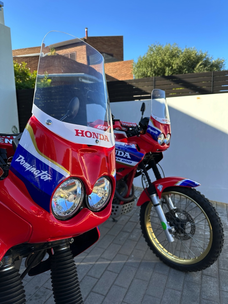 Honda NX650 Dominator Rally Bikes