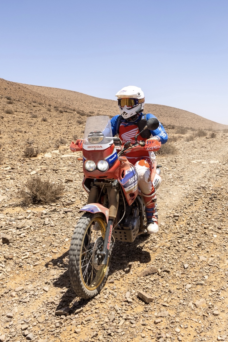 Honda NX650 Dominator Rally Bikes