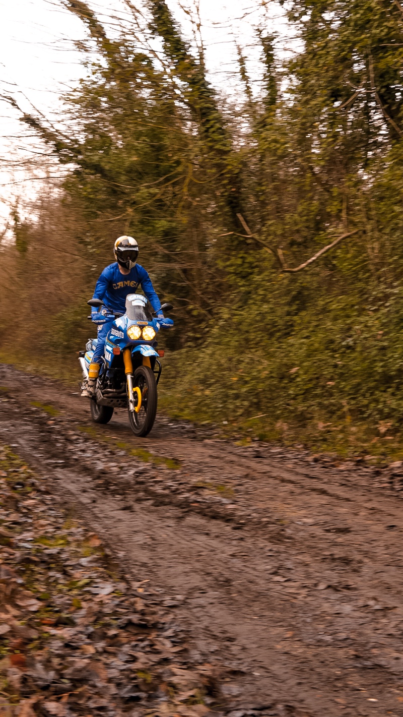 Yamaha Super Tenere Sonauto Special