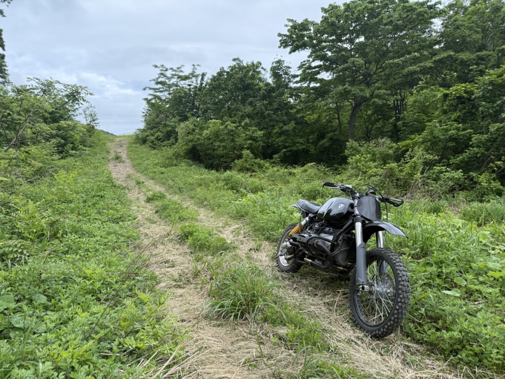 BMW R100R Scrambler