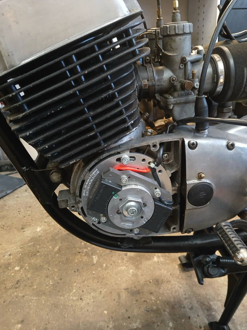 Suzuki T500 Cobra