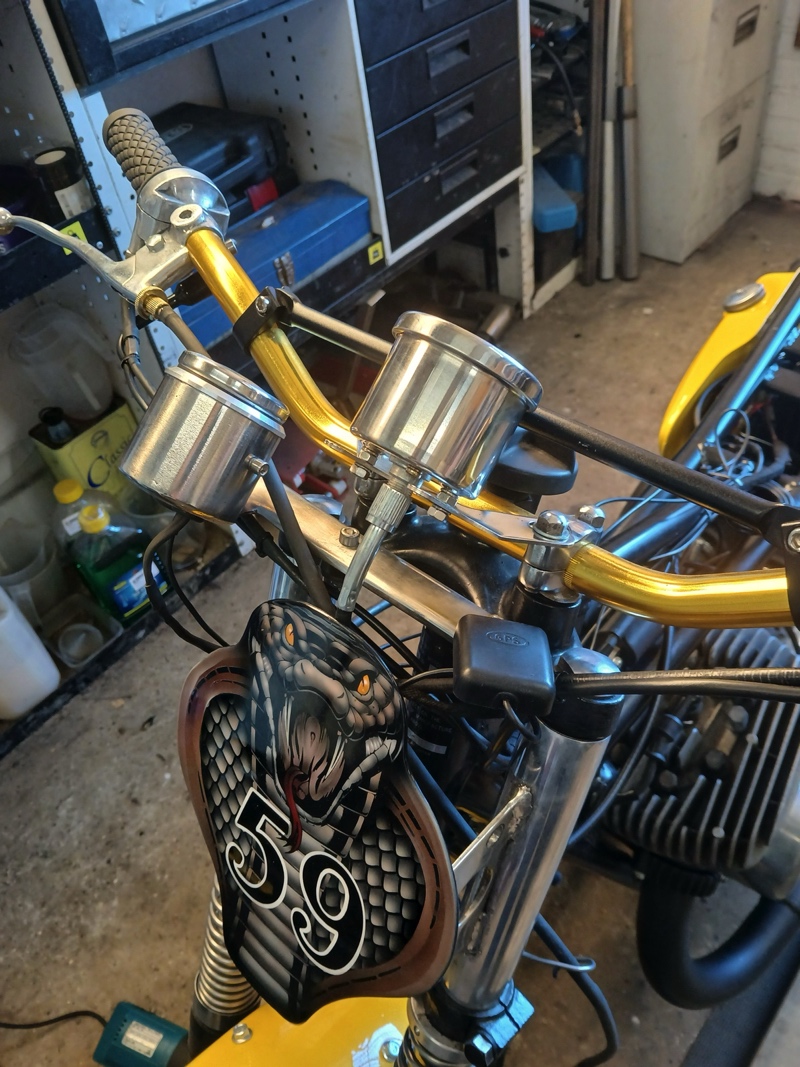 Suzuki T500 Cobra