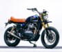 “RAWBEARY” Royal Enfield Bear 650 Scrambler