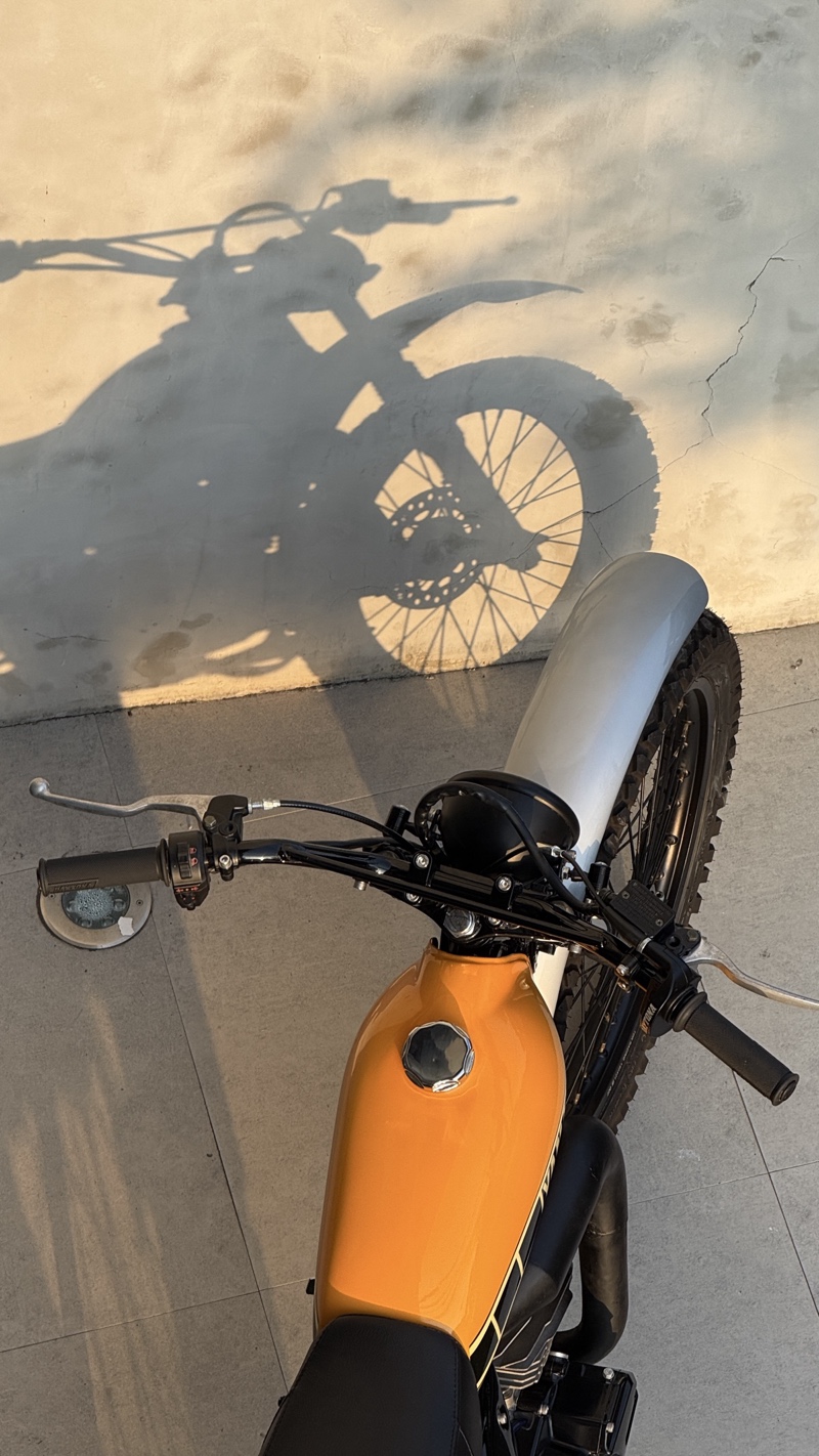Yamaha RX King Scrambler Enduro