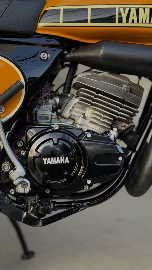 Yamaha RX King Scrambler Enduro