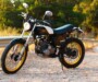 Built for the Urban Jungle: Kawasaki Super Sherpa 250