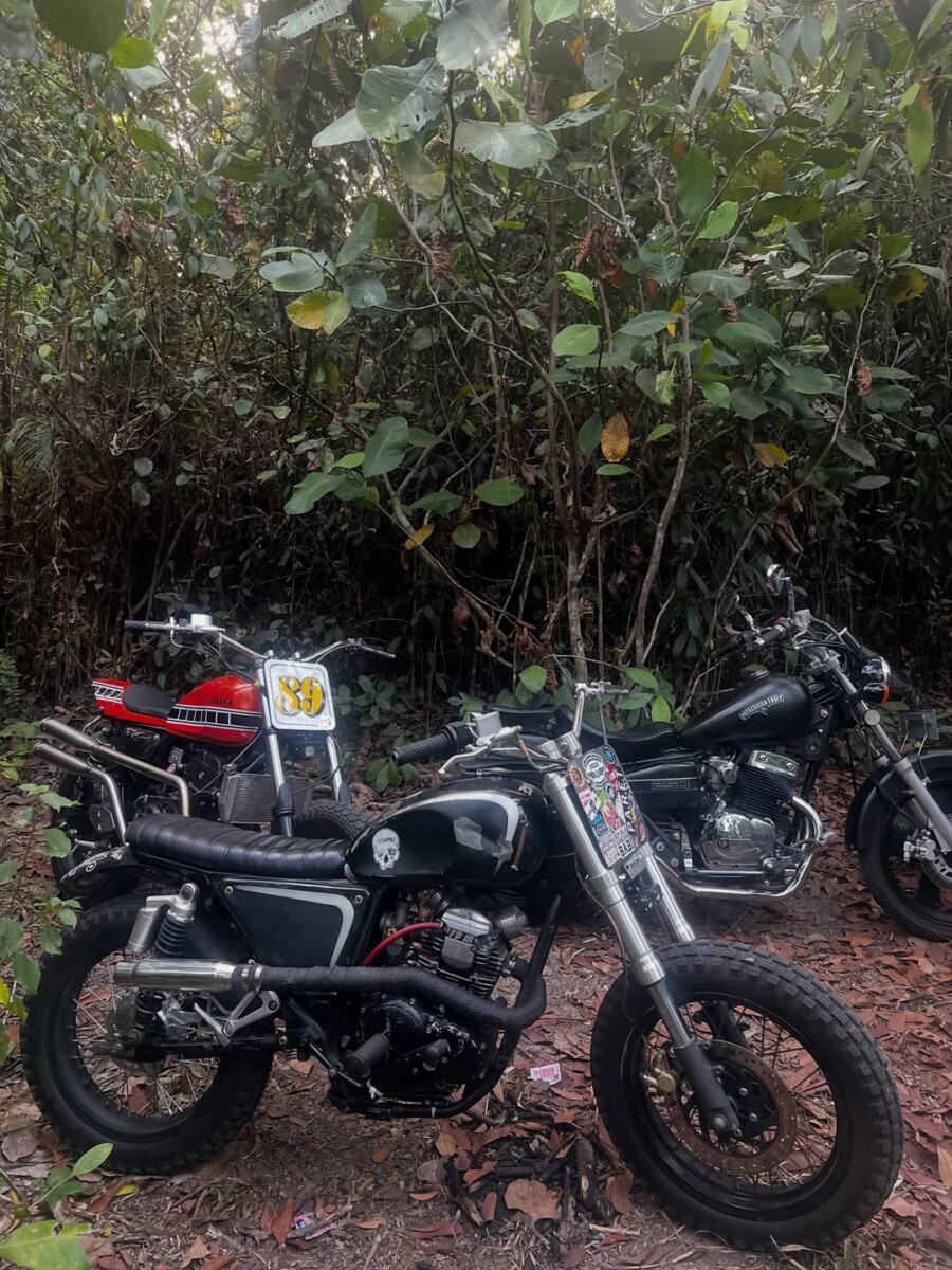 Yamaha MT-25 Street Tracker